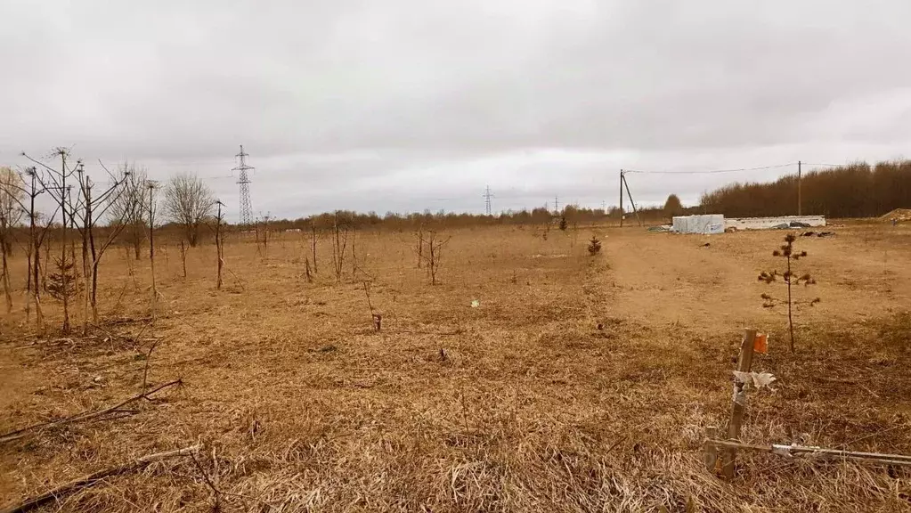 Участок в Ленинградская область, Волосовский район, д. Большая Вруда  ... - Фото 2