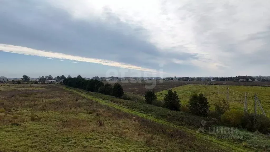 Участок в Калининградская область, Зеленоградский муниципальный округ, ... - Фото 1