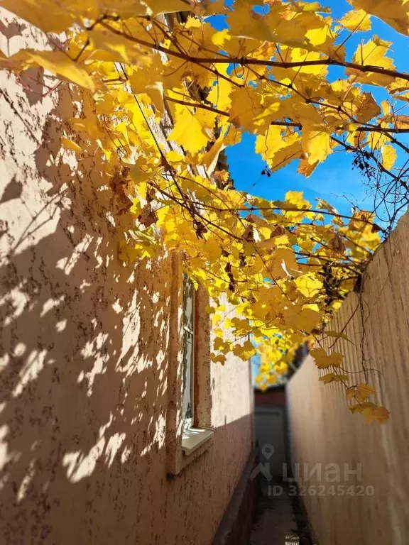 Дом в Ростовская область, Аксай ул. Буденного, 38 (50 м) - Фото 2