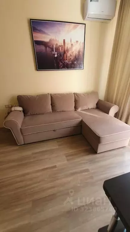 Студия Краснодарский край, Сочи ул. Ленина, 290/6 (23.0 м) - Фото 1