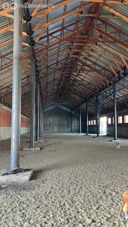 Склад (1400 м) - Фото 2