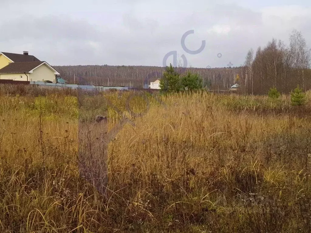Участок в Нижегородская область, Дальнеконстантиновский муниципальный ... - Фото 1