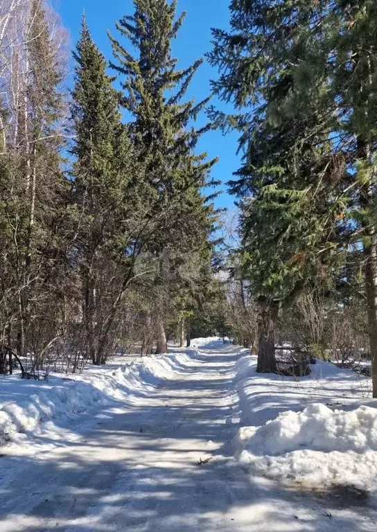 Участок в Кемеровская область, Кемеровский район, д. Илиндеевка  (5.4 ... - Фото 0