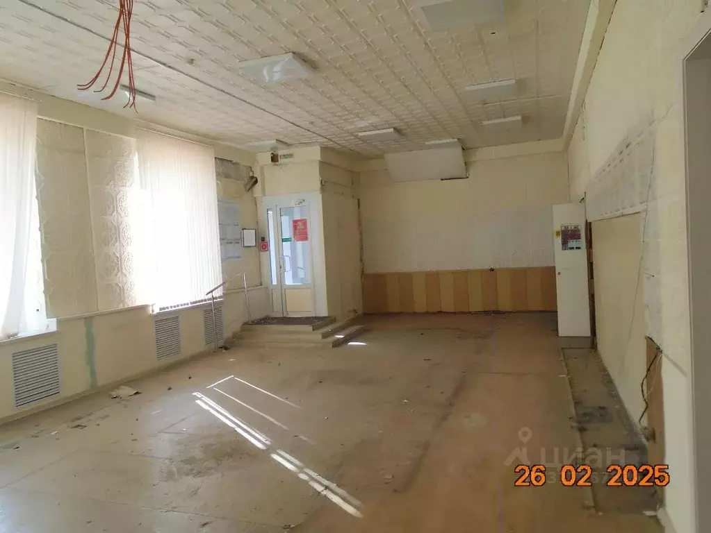 Помещение свободного назначения в Новосибирская область, Новосибирск ... - Фото 0
