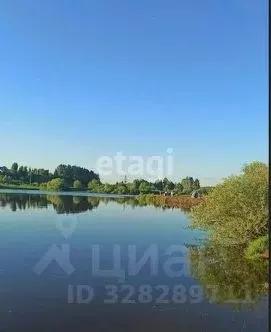 Участок в Пермский край, Пермь Ласьва-1 СНТ,  (17.0 сот.) - Фото 1