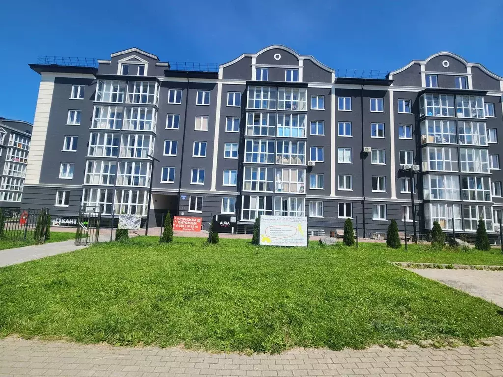 2-к кв. Калининградская область, Гурьевск ул. Генерал-лейтенанта ... - Фото 1
