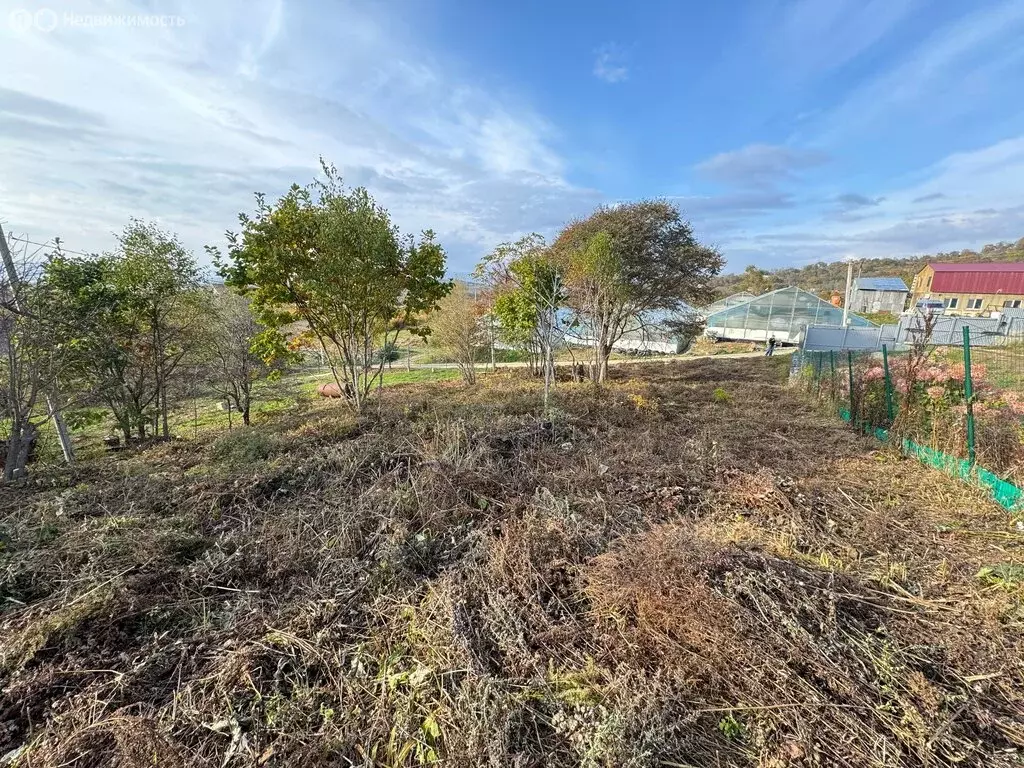 Участок в Приморский край, Партизанский муниципальный округ, СНТ Марс, ... - Фото 1