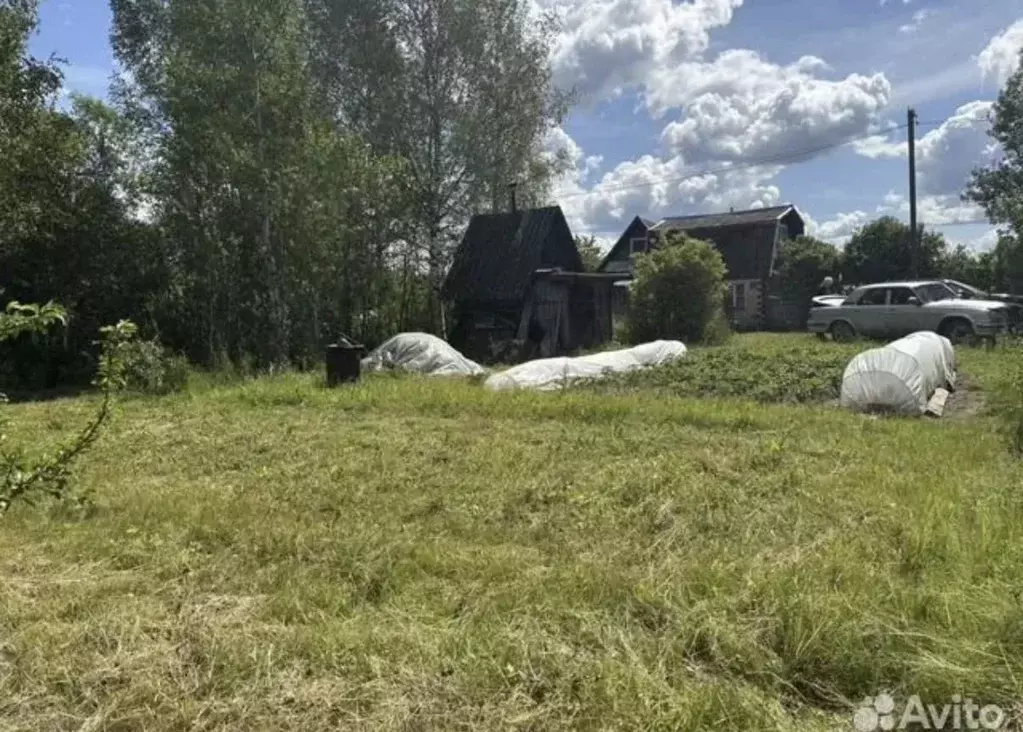 Участок в Псковская область, Псковский район, Торошинская волость, ... - Фото 2