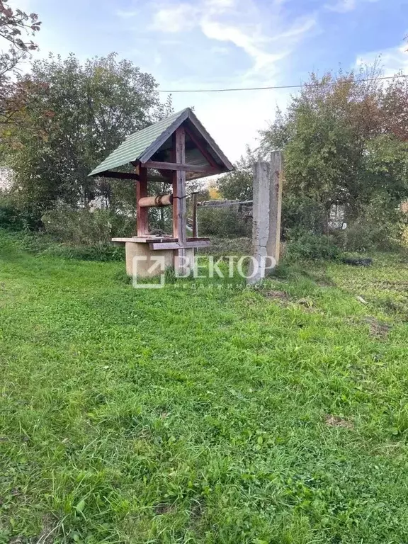 Участок в Костромская область, Красносельский район, Боровиковское ... - Фото 1