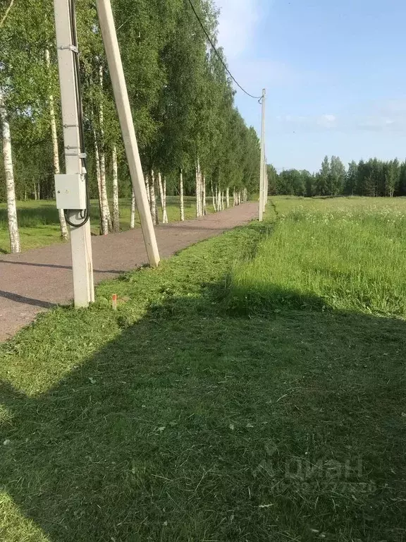 Участок в Ленинградская область, Кингисеппский район, Вистинское ... - Фото 2