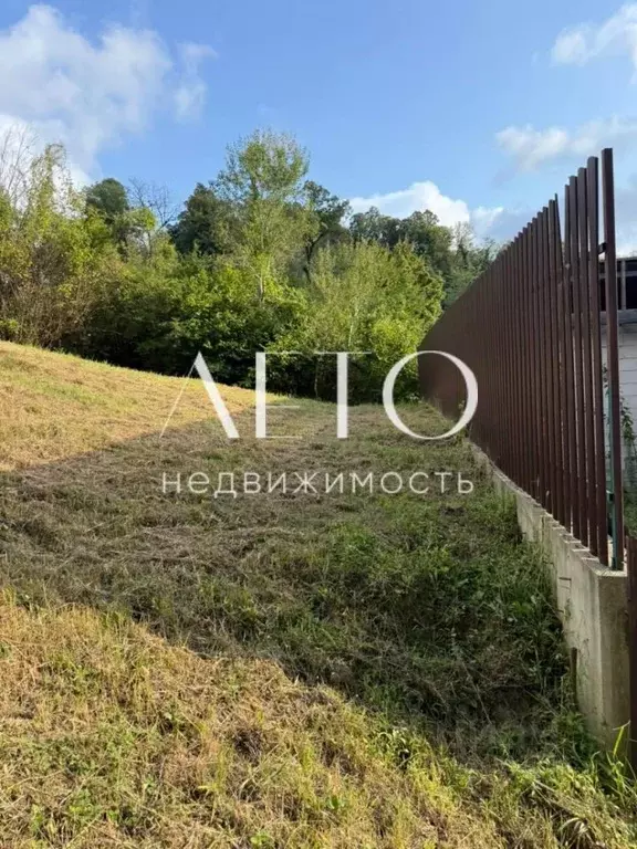 Участок в Краснодарский край, Сочи городской округ, с. Бестужевское ... - Фото 2
