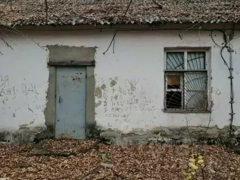 Помещение свободного назначения в Тамбовская область, Бондарский ... - Фото 1