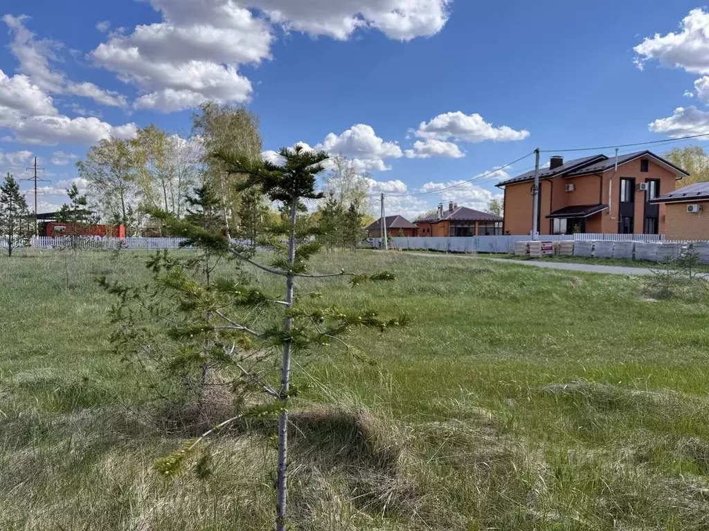 Участок в Омская область, Омский район муниципальный округ, с. ... - Фото 2