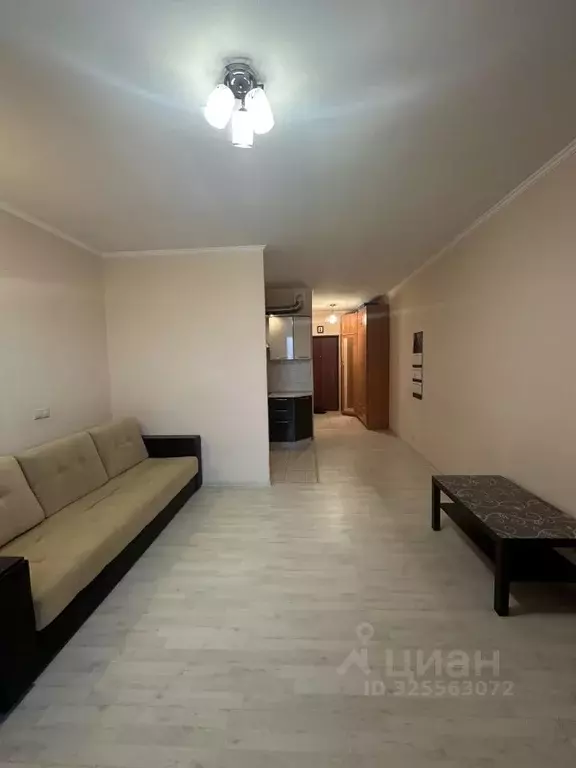 Студия Московская область, Балашиха городской округ, д. Павлино 66 ... - Фото 2