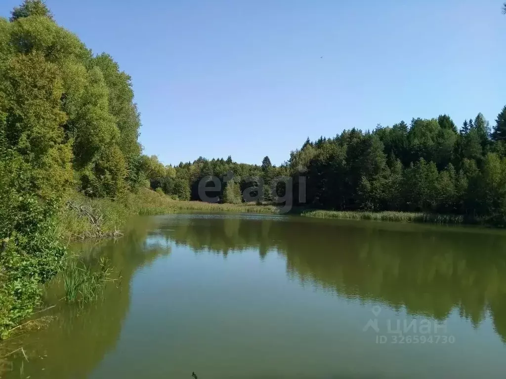 Участок в Калужская область, Мосальский муниципальный округ, д. ... - Фото 1