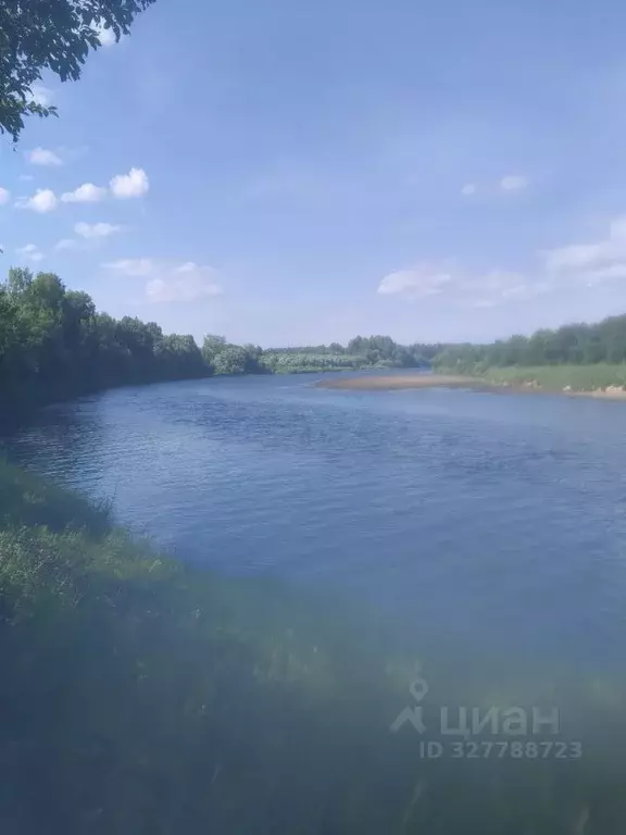 Участок в Ленинградская область, Лодейнопольский район, Алеховщинское ... - Фото 1