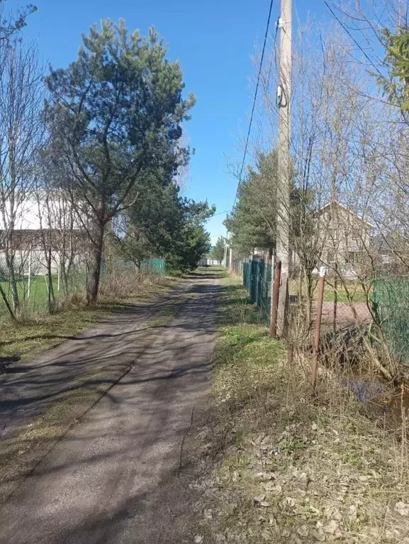 Участок в Ленинградская область, Всеволожский район, Морозовское ... - Фото 1