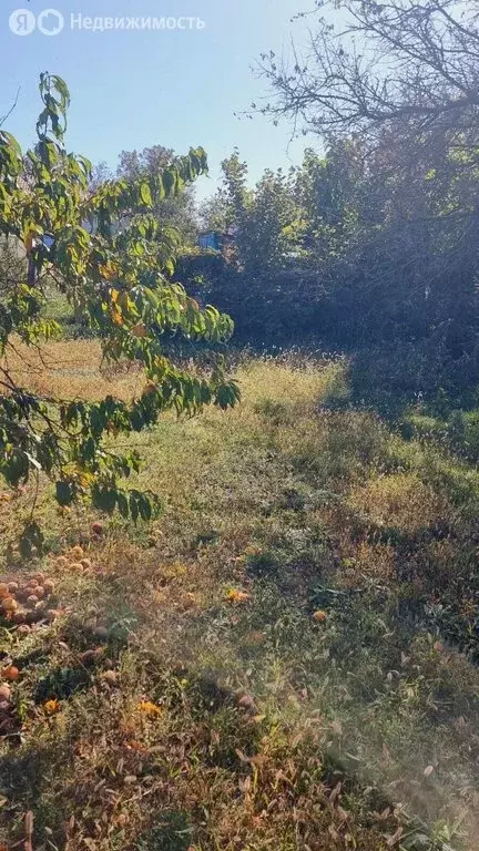 Участок в село Борисовка, улица Александра Невского (4 м) - Фото 0