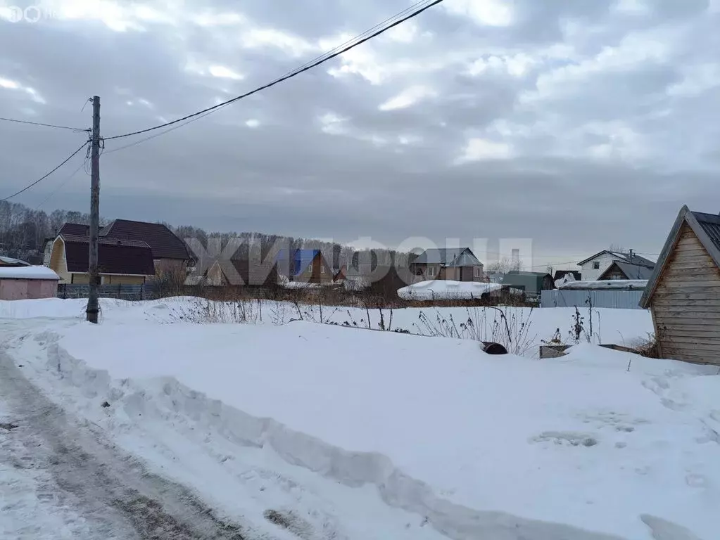 Участок в Каменский сельсовет, садовое товарищество Калинка, 0-я аллея ... - Фото 0