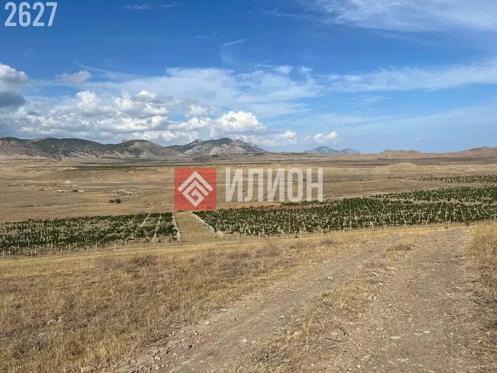 Участок в Крым, Судак муниципальный округ, с. Миндальное, Солнечная ... - Фото 2