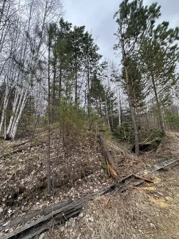 Участок в Иркутская область, Иркутский муниципальный округ, ... - Фото 1