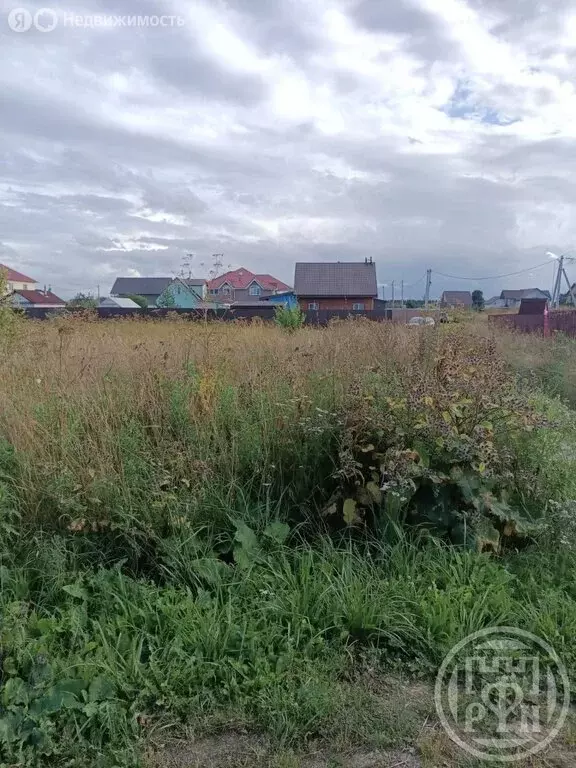 Участок в Ломоносовский район, Оржицкое сельское поселение, деревня ... - Фото 1