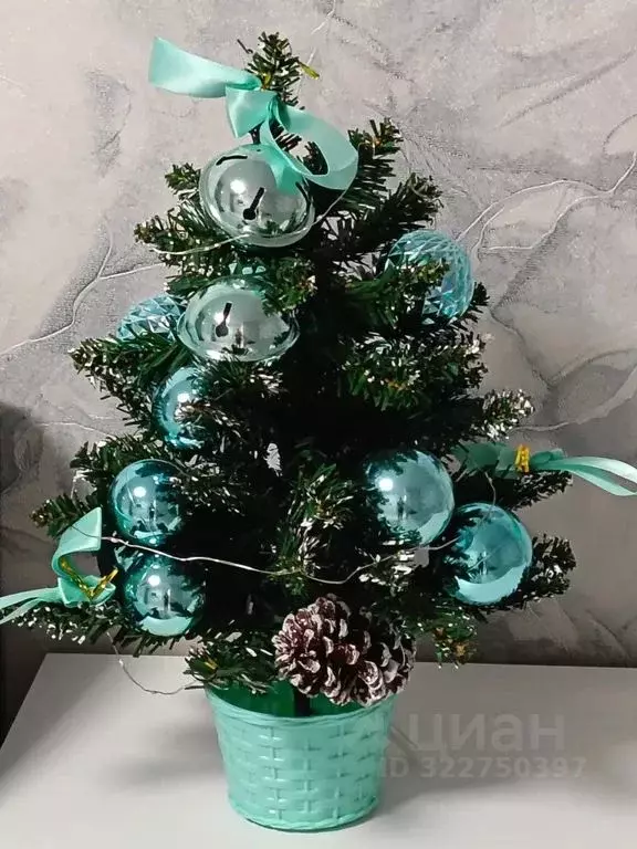 1-к кв. Рязанская область, Касимов Окружная ул., 3 (30.0 м) - Фото 2