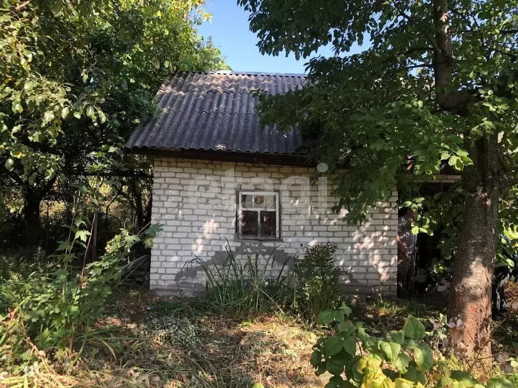 Участок в Брянская область, Брянский район, Мичуринское с/пос, ... - Фото 0