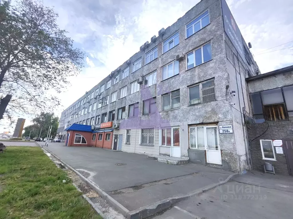 Офис в Алтайский край, Барнаул ул. Попова, 258В (60 м) - Фото 1