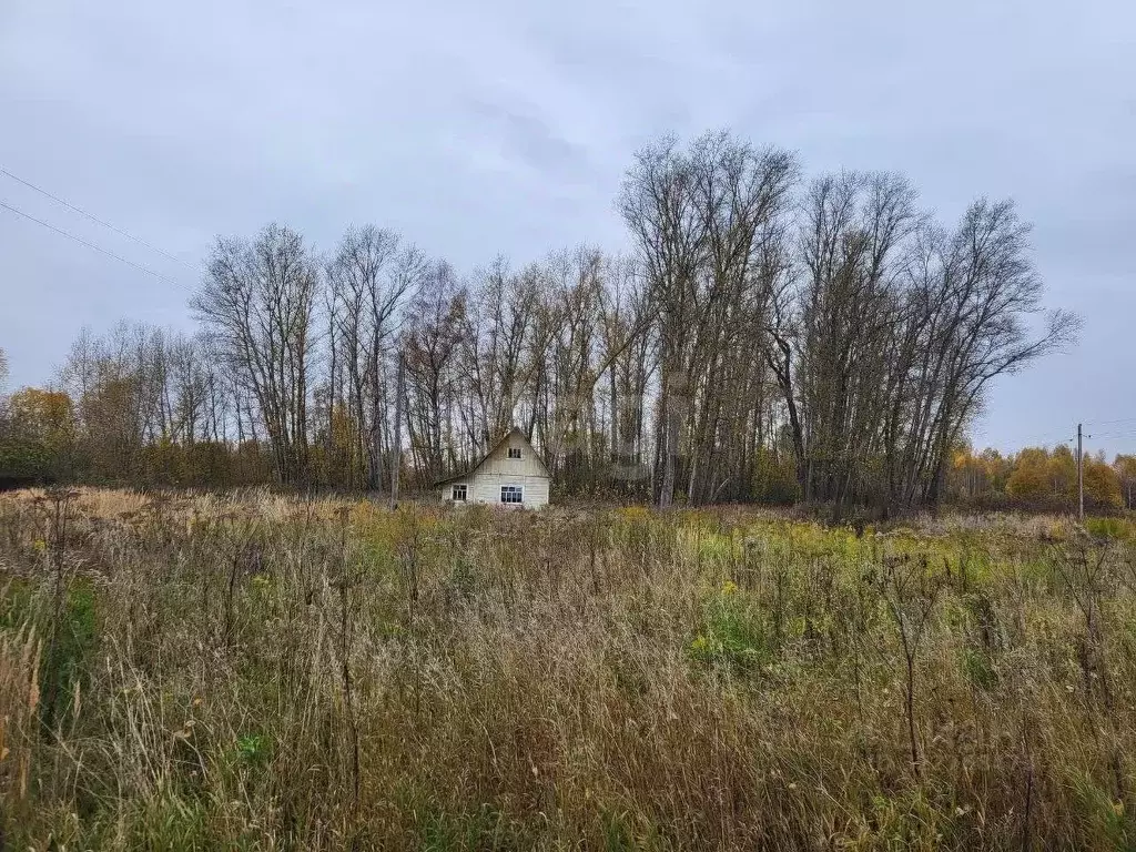 Участок в Ярославская область, Рыбинский муниципальный округ, д. ... - Фото 0