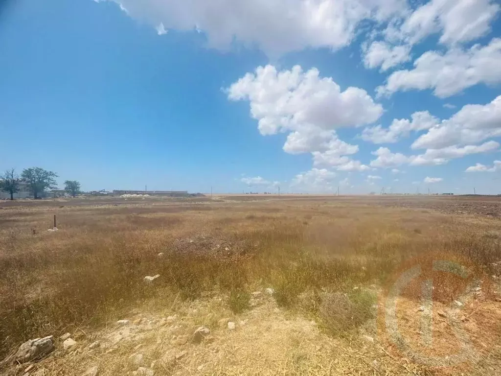 Участок в Крым, Сакский район, с. Ромашкино ул. Молодежная, 38 (6.3 ... - Фото 0