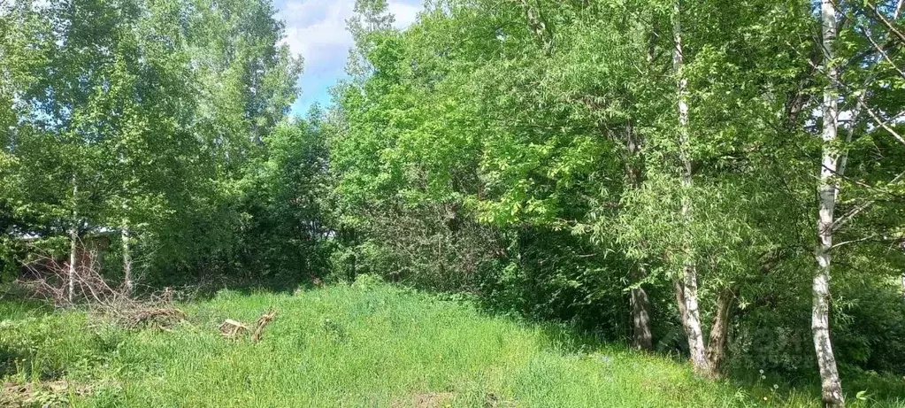 Участок в Татарстан, Казань Аки жилмассив, ул. Сосновая (8.0 сот.) - Фото 2