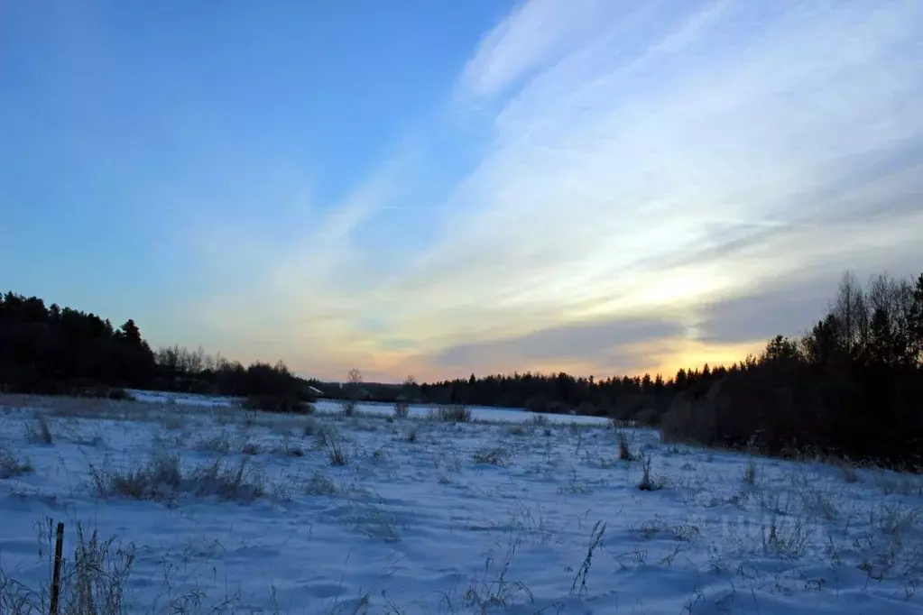 Участок в Карелия, Сортавальский муниципальный округ, пос. Заозерный  ... - Фото 1