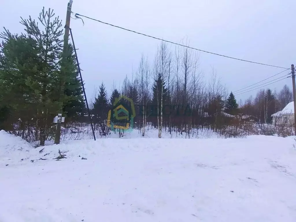 Участок в Ленинградская область, Выборгский район, Рощинское городское ... - Фото 0