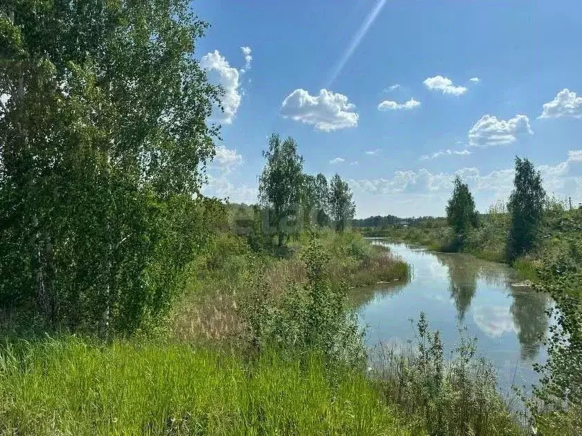 Участок в Тюменская область, Тюменский район, д. Елань  (5.5 сот.) - Фото 0