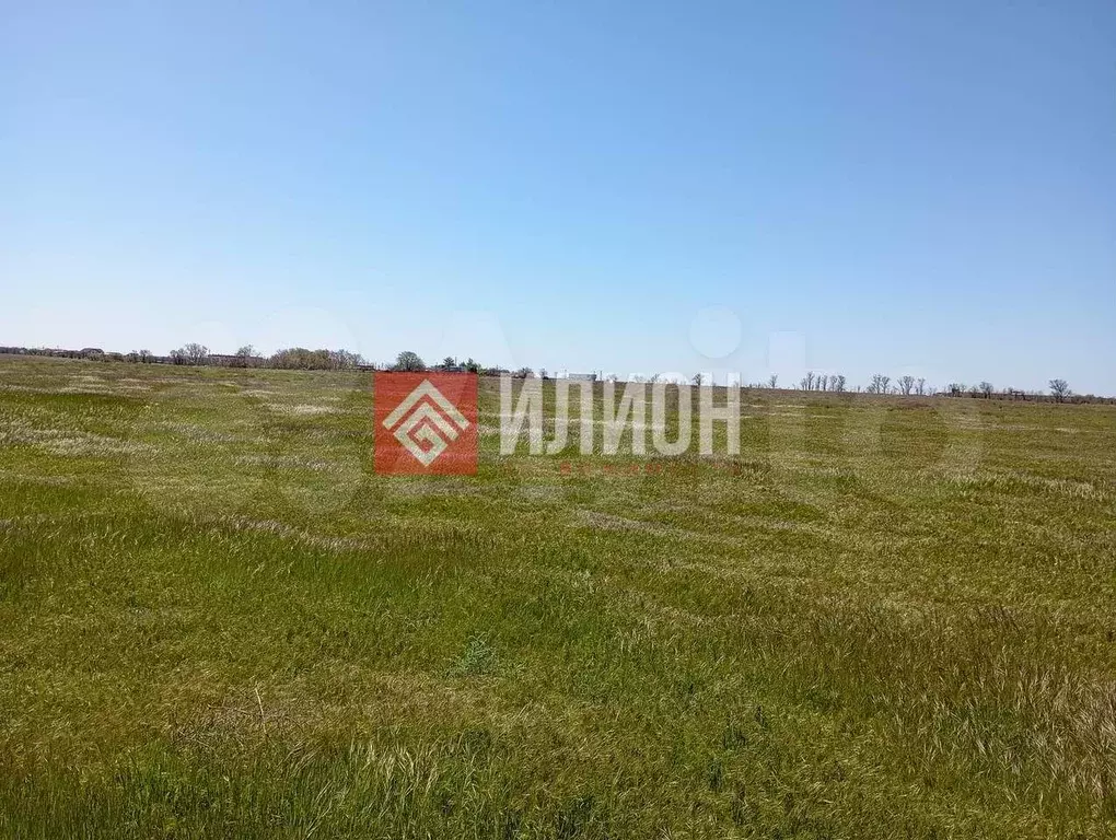 Участок 6 сот. (СНТ, ДНП) - Фото 1