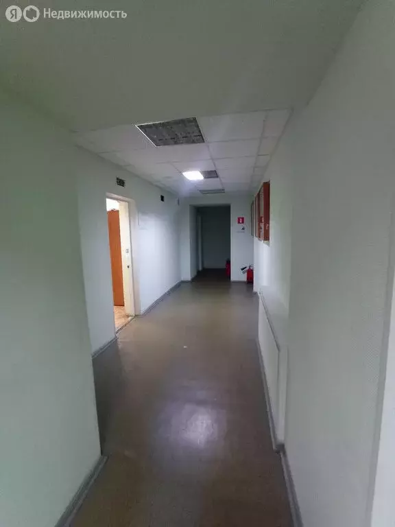 Офис (166.7 м) - Фото 2