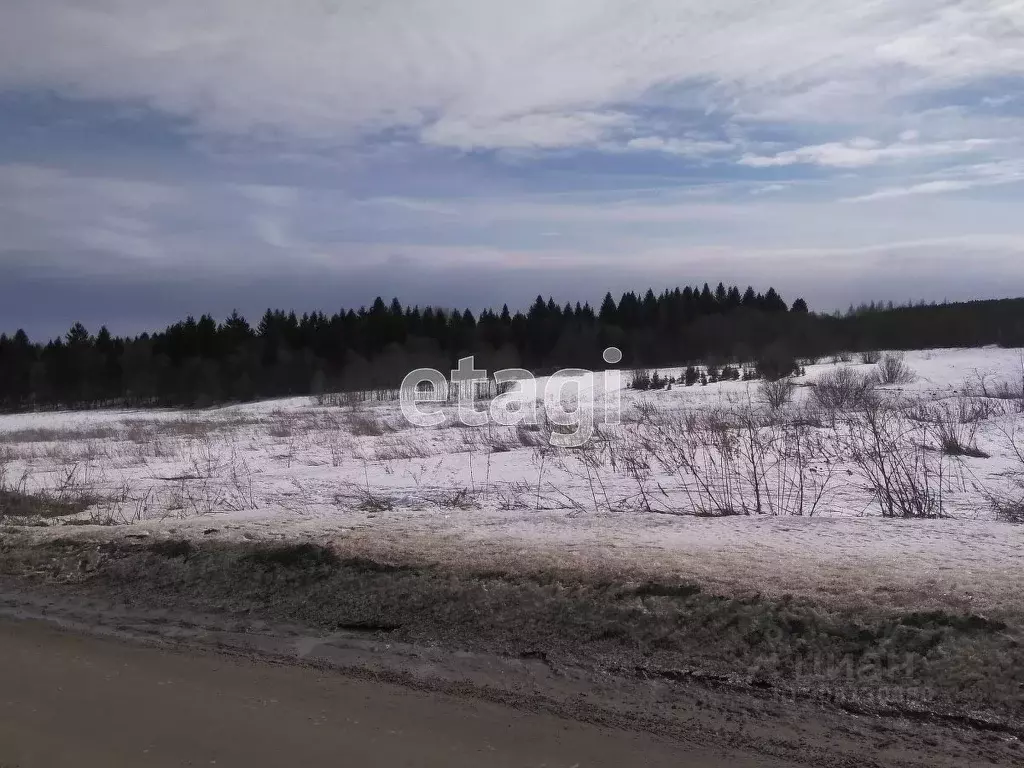 Участок в Вологодская область, д. Коровайцево  (9.13 сот.) - Фото 0