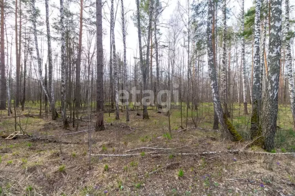 Участок в Тюменская область, Нижнетавдинский муниципальный округ, ... - Фото 0