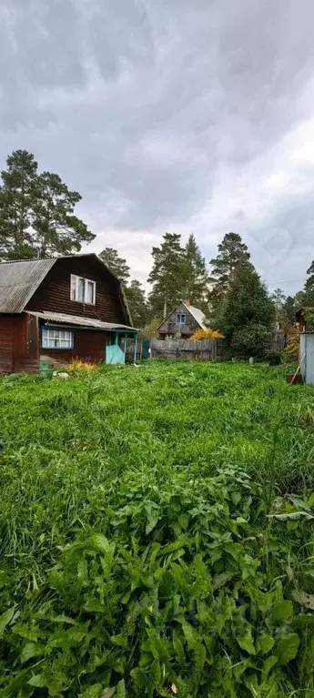 Дом в Красноярский край, Емельяновский район, Мининский сельсовет, ... - Фото 1