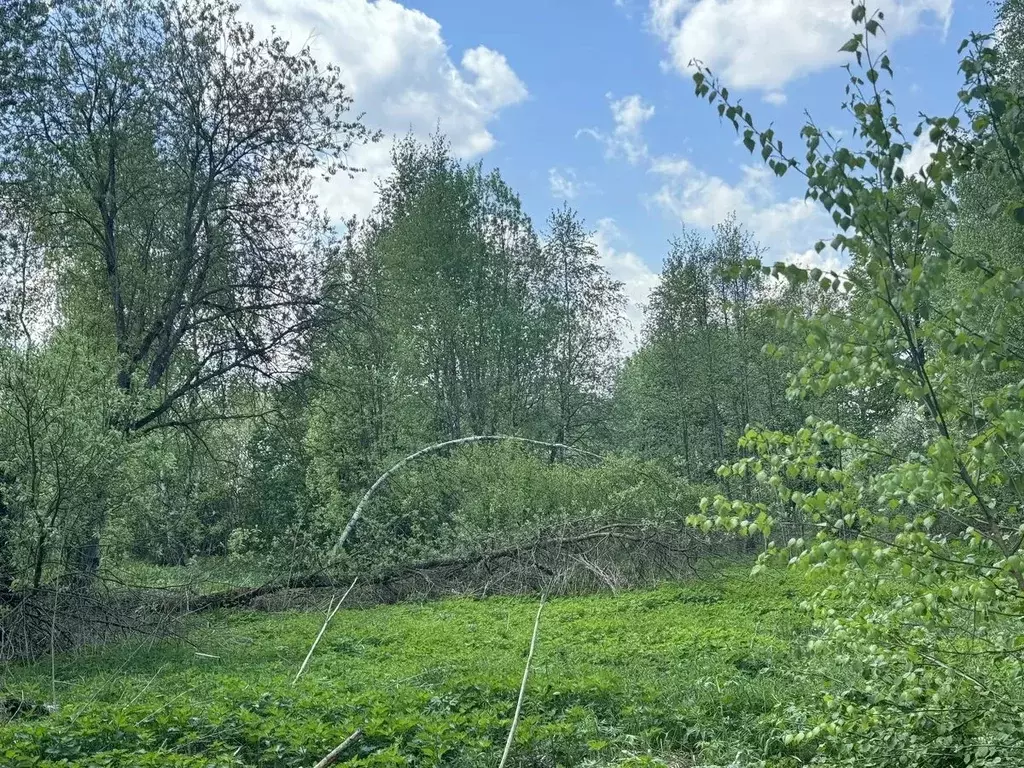 Участок в Московская область, Наро-Фоминский городской округ, д. Роща  ... - Фото 2