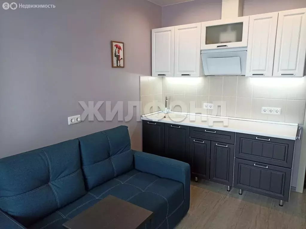 Квартира-студия: Новосибирск, Железнодорожный район, Железнодорожная ... - Фото 1