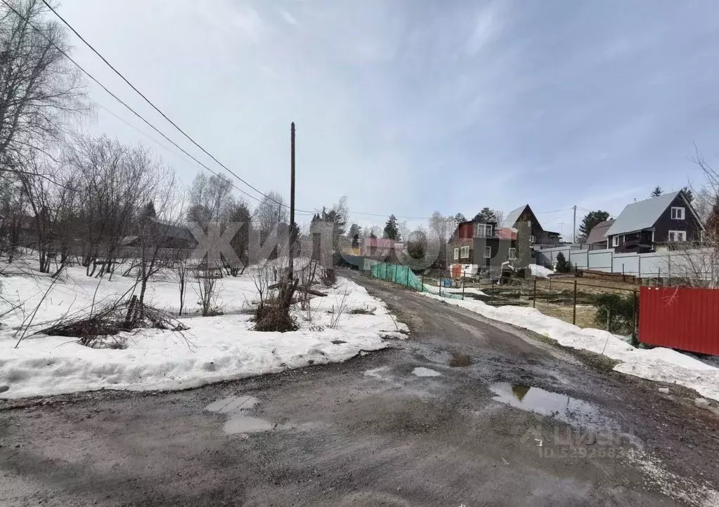 Участок в Новосибирская область, Новосибирск Спутник садовое ... - Фото 2