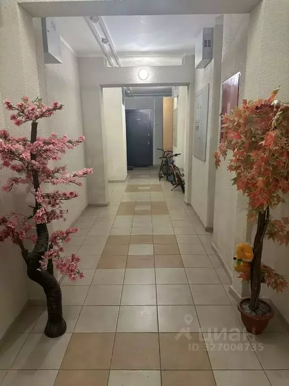 1-к кв. Красноярский край, Красноярск ул. Сады, 1/28 (42.0 м) - Фото 2