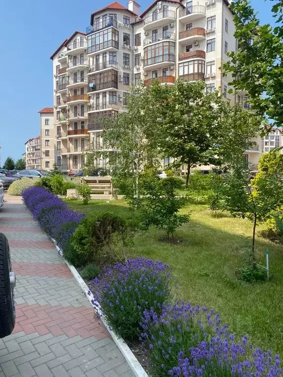 Студия Краснодарский край, Геленджик Крымская ул., 22к1 (38.0 м) - Фото 1