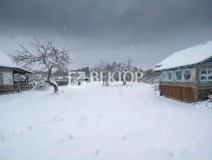 Участок в Костромская область, Кострома Южный-1 СНТ, 46 (6.2 сот.) - Фото 2