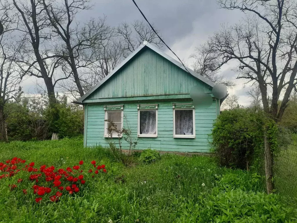 Дом в Ростовская область, Азовский район, с. Александровка  (55 м) - Фото 1