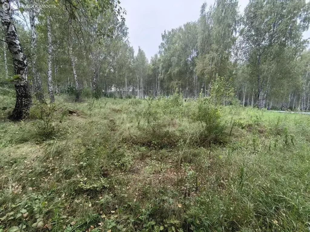 Участок в Челябинская область, Сосновский муниципальный округ, село ... - Фото 1