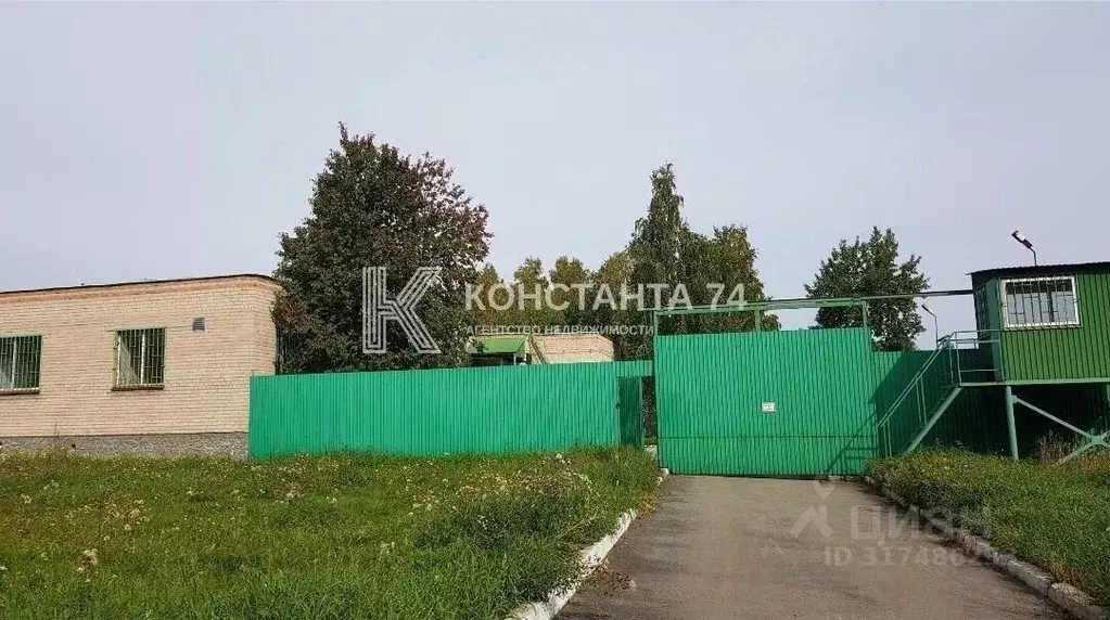 Участок в Челябинская область, Красноармейский район, с. Миасское ... - Фото 1