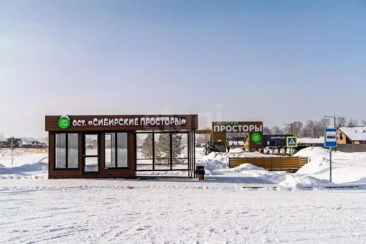 Участок в Новосибирская область, Новосибирский район, Сибирские ... - Фото 1